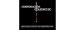 consorci__250x100.jpg